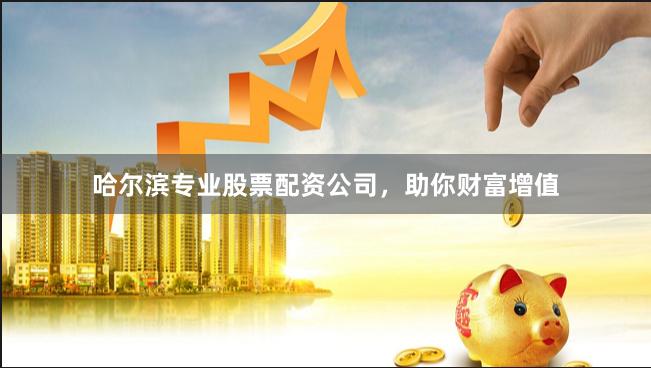 哈尔滨专业股票配资公司，助你财富增值