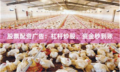 股票配资广告：杠杆炒股，资金秒到账